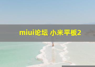 miui论坛 小米平板2